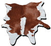 Koskinn 4